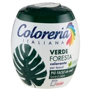 COLORERIA Italiana Verde Foresta 350 g